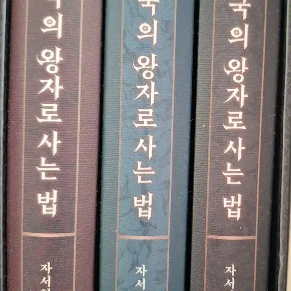 적국의 왕자로 사는법 1부(1~3권)