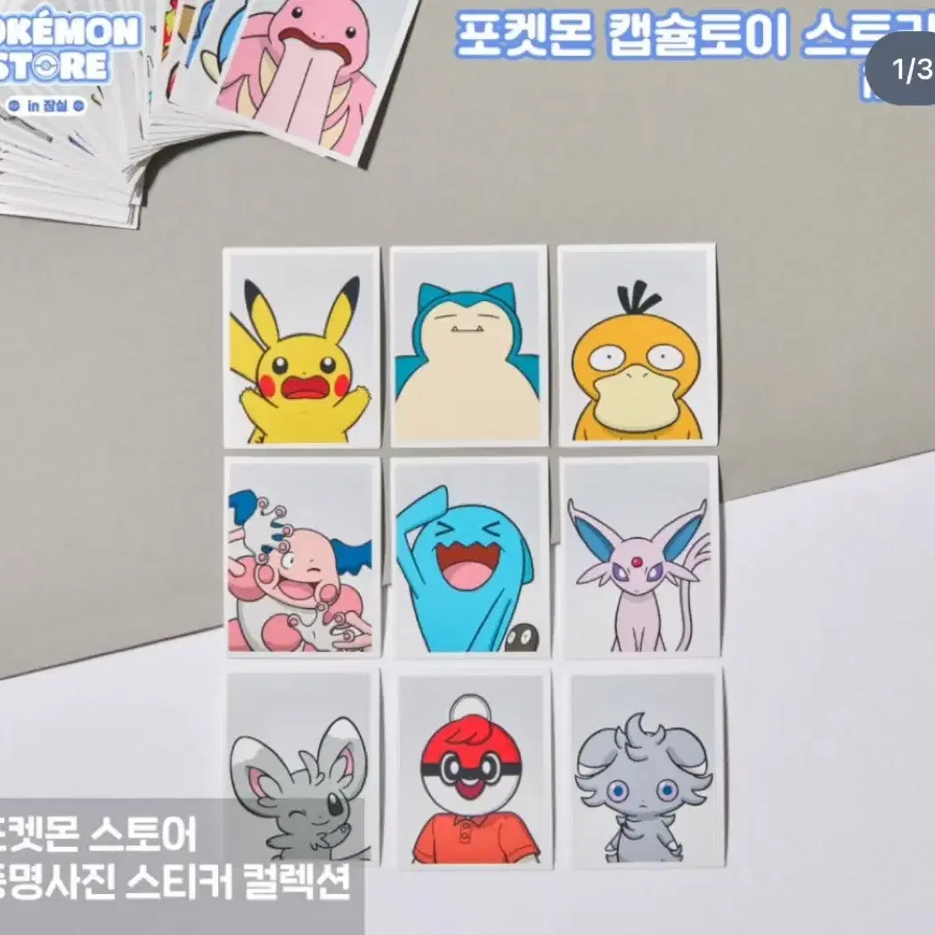 포켓몬 증명사진 (pokemon ID picture)