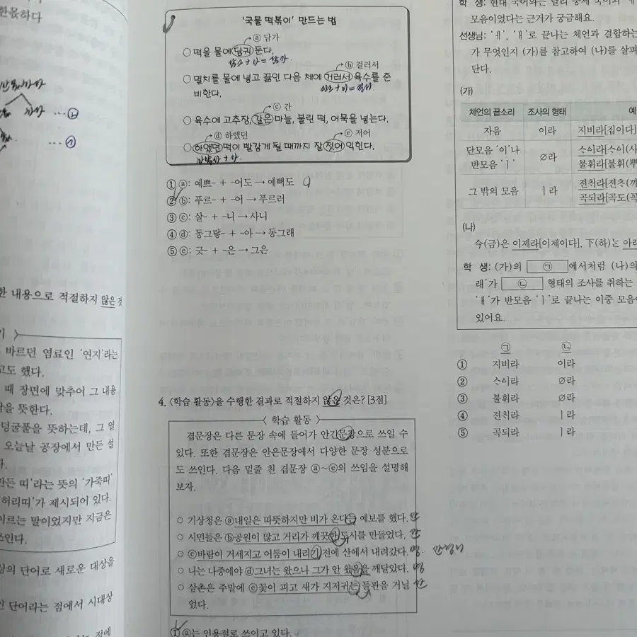 2025 강기분 언매 문제편