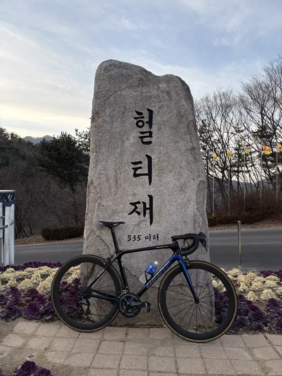 (차대등록) 자이언트 tcr 어드밴스 1 se 완차