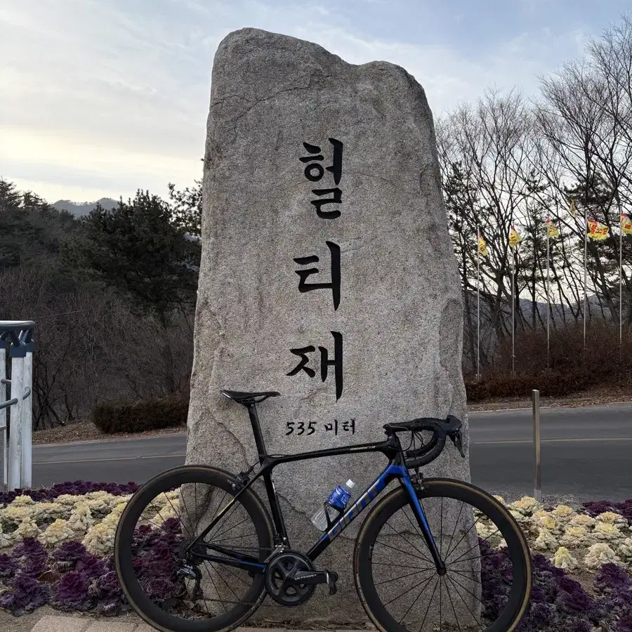 (대차) 자이언트 tcr 어드밴스 1 se  완차