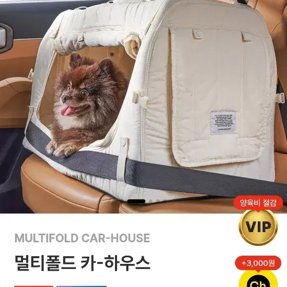 페스룸 카시트