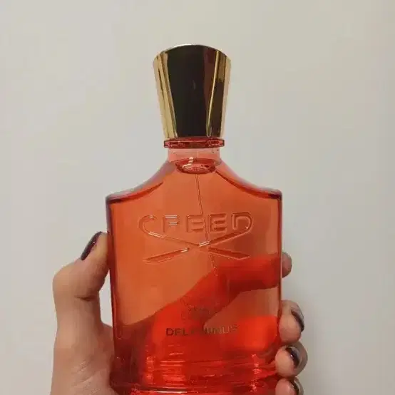 택포  크리드 델피던스 100ml edp 미개봉새상품