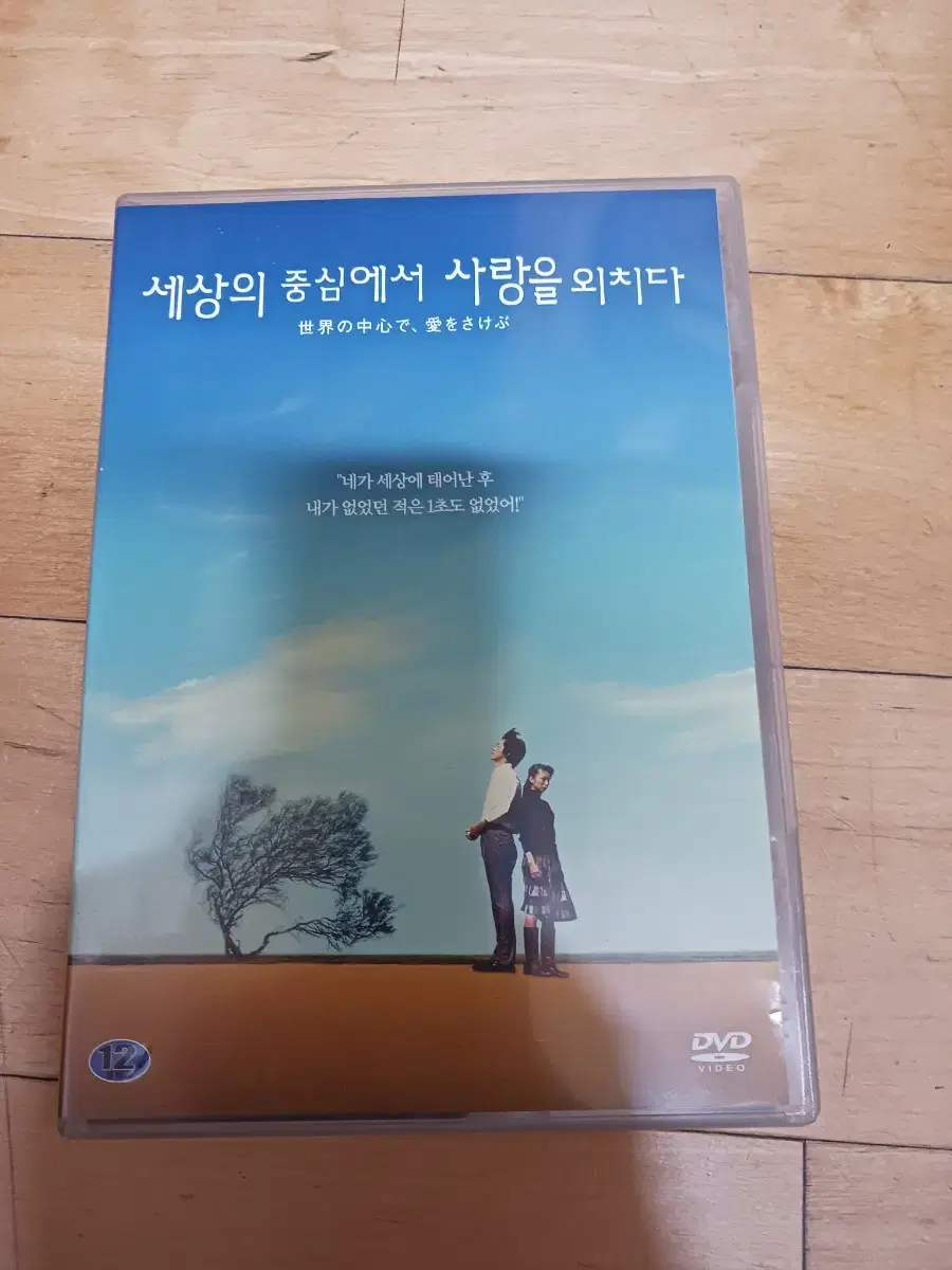 dvd 세상