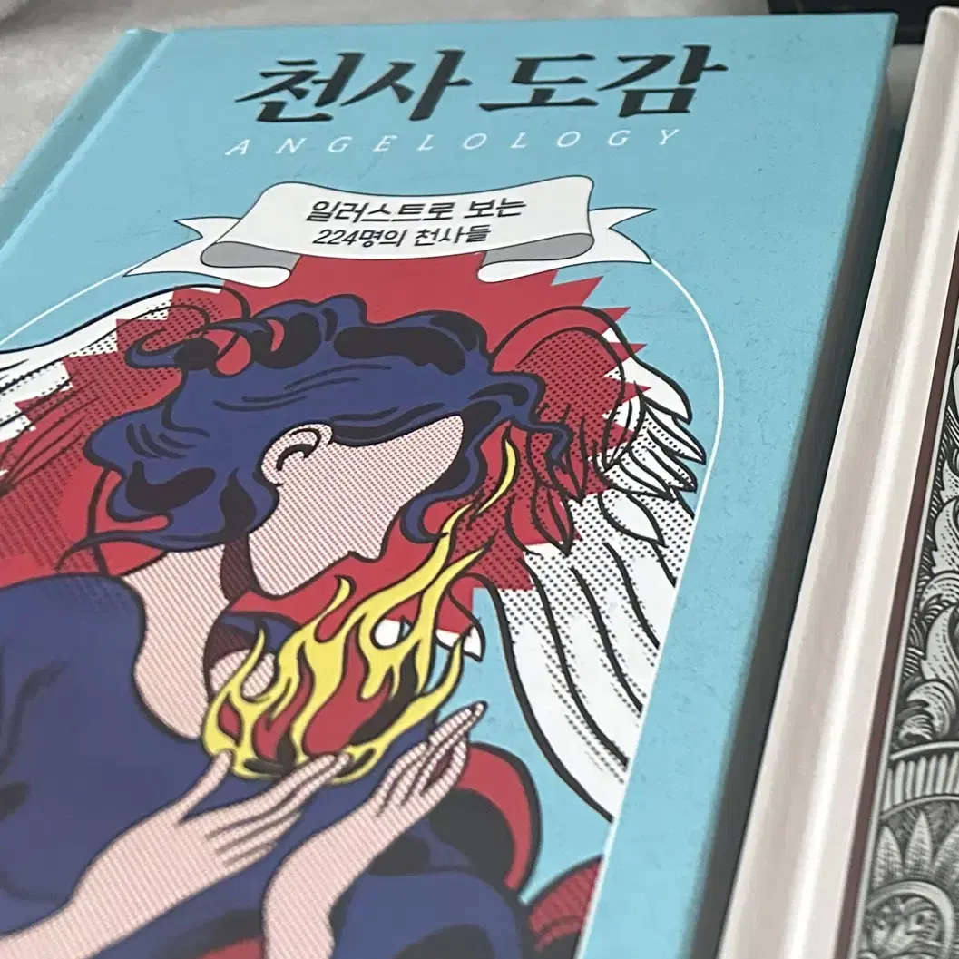 (1/22까지 할인!) 텀블벅 천사도감