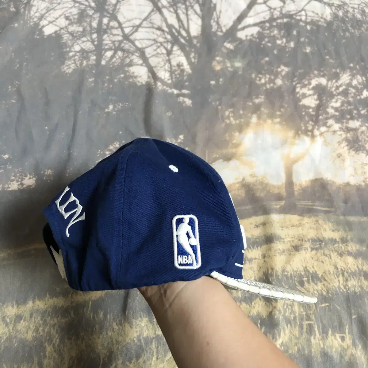 Vintage NBA jeremy lin blue snap back