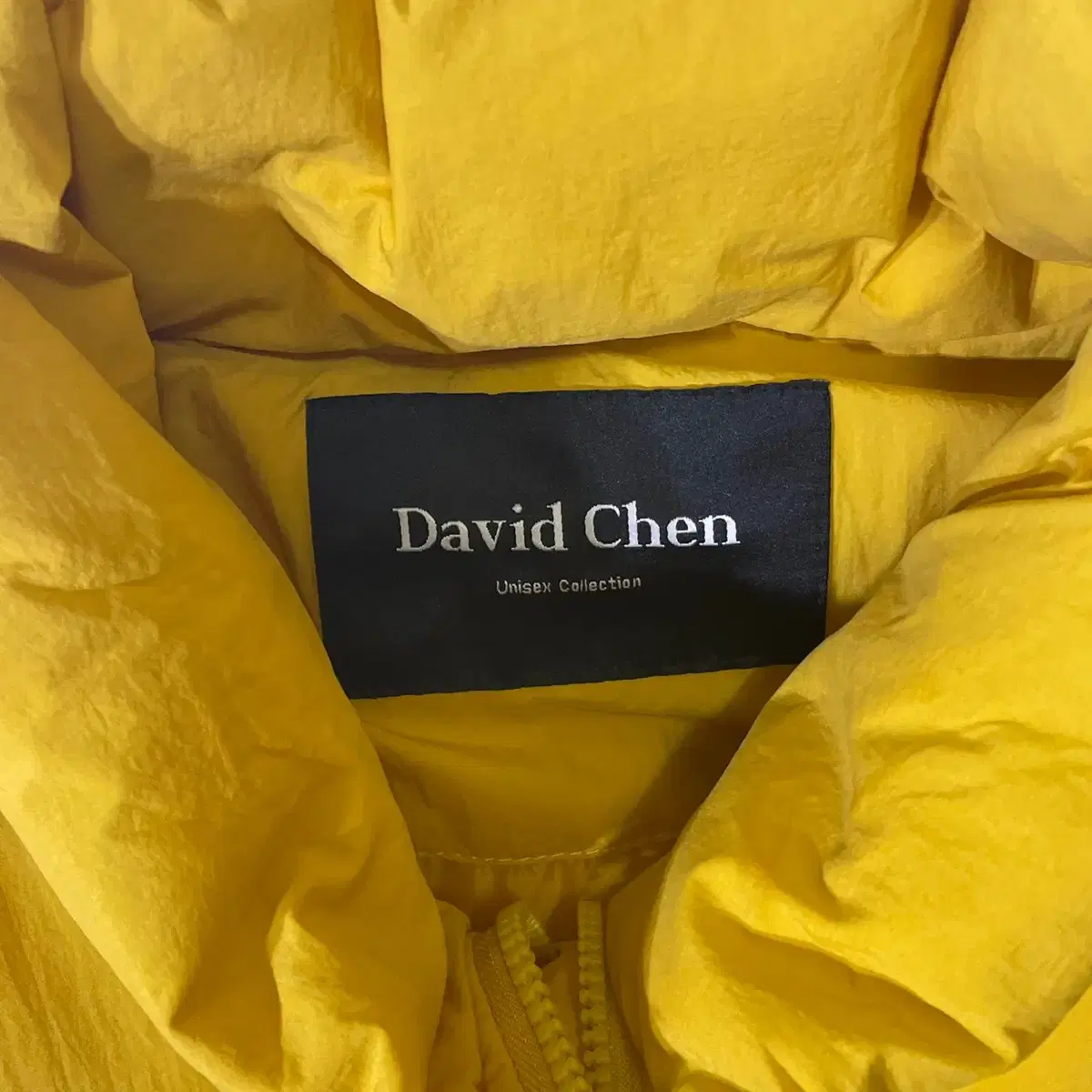 David Chen 패딩 자켓 (105/kold_7042)