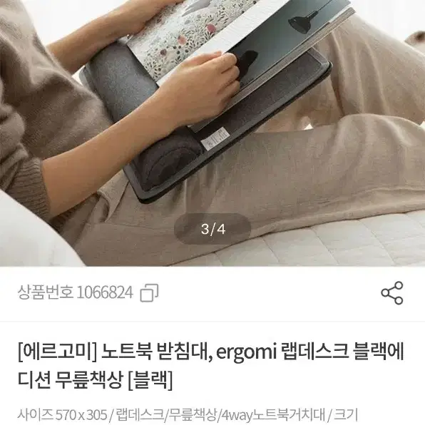 에르고미 랩데스트 블랙에디션 L