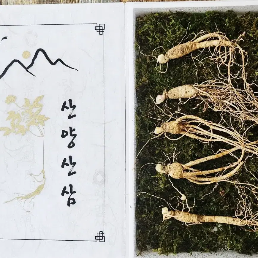 5년근산양삼 큰사이즈 5뿌리 산지직송 무료배송