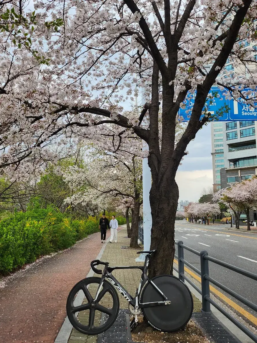 아반티피스타 에보2  팀차대 대차봄