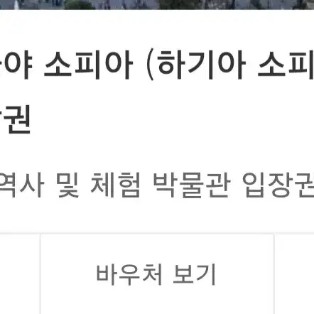 이스탄불 아야 소피아 체험 박물관 입장권