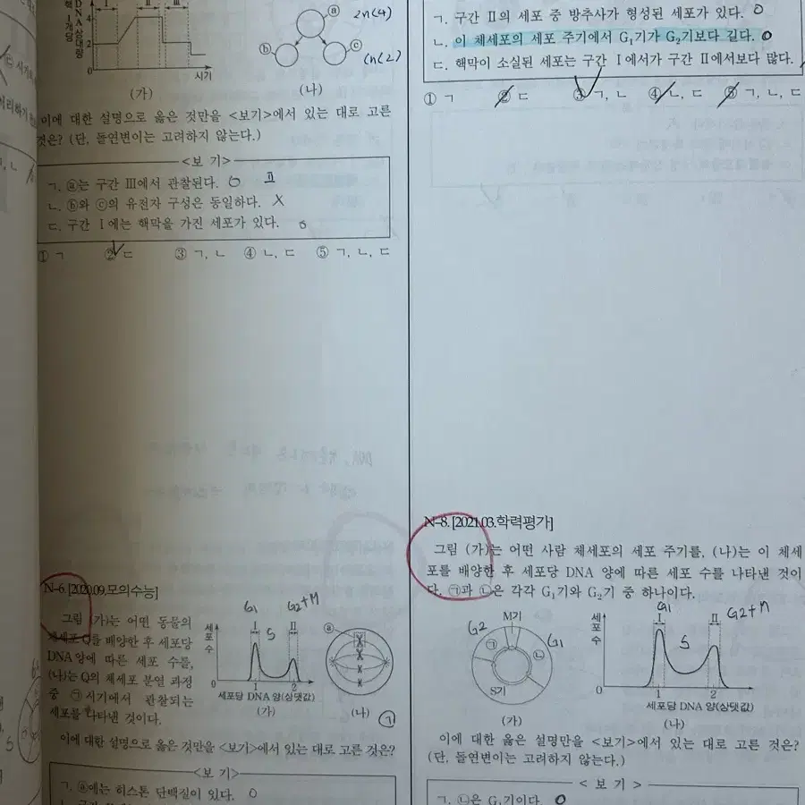 윤도영t 유전