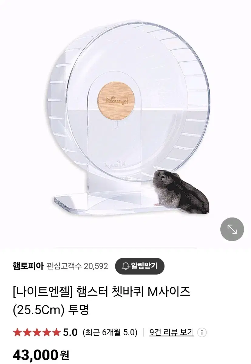 나이트엔젤 쳇바퀴 m