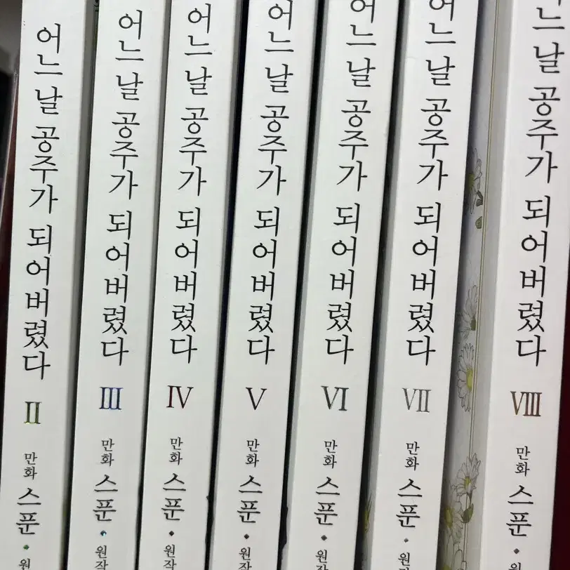 어느 날 공주가 되어버렸다 일괄 / 웹툰 만화책 소설