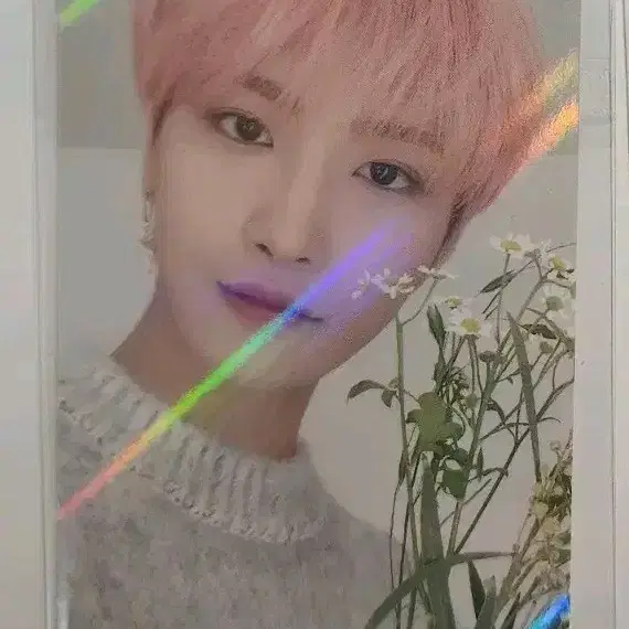 에이티즈 성화 포카 (일괄)