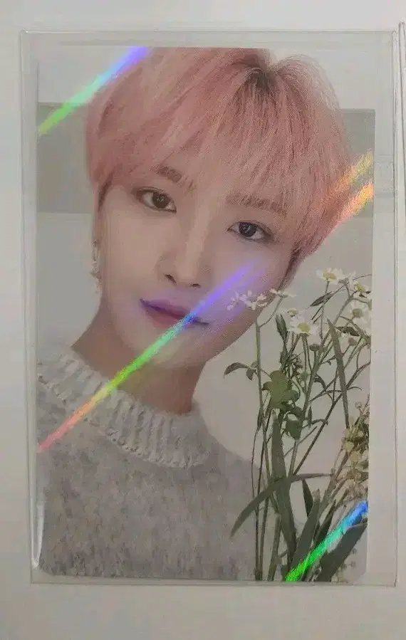 에이티즈 성화 포카 (일괄)