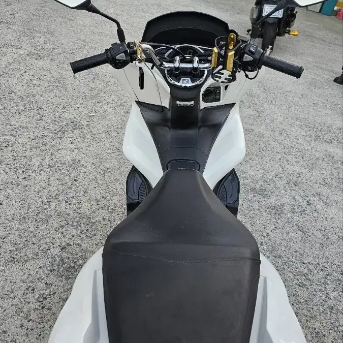 19년식 더뉴 pcx125 (경정비완료)