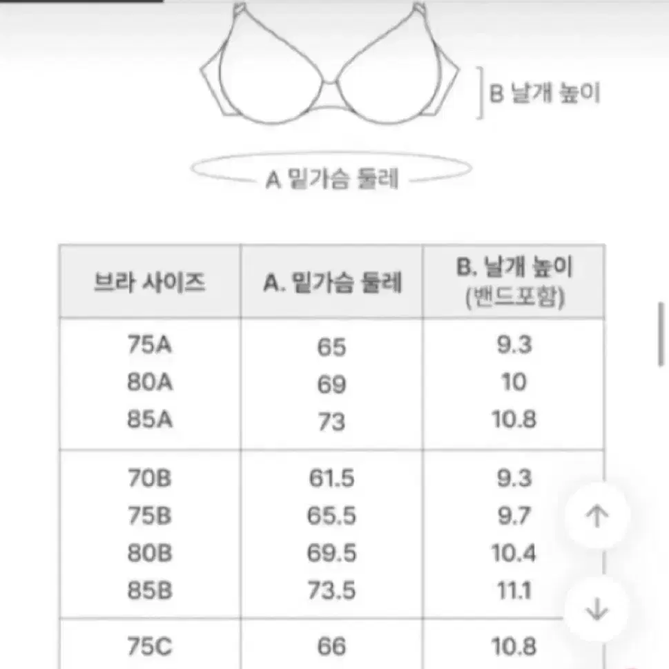 휠라 리니어로코밴드 노와이어 브라 라이트 멜란지 새상품