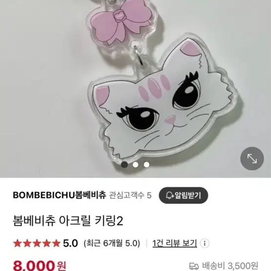 봄베비츄 고양이 아크릴 키링