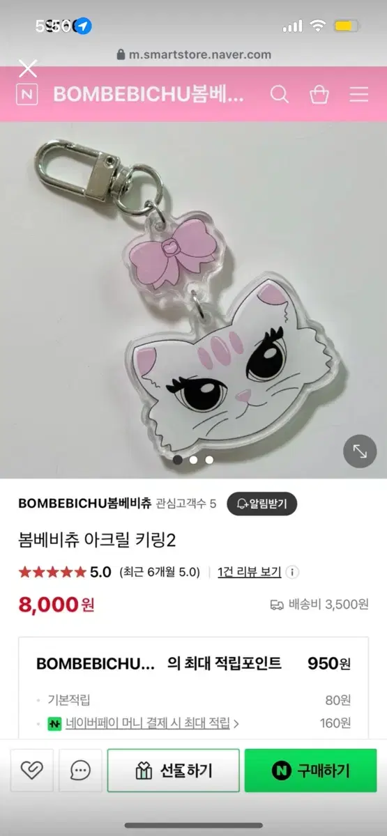 봄베비츄 고양이 아크릴 키링