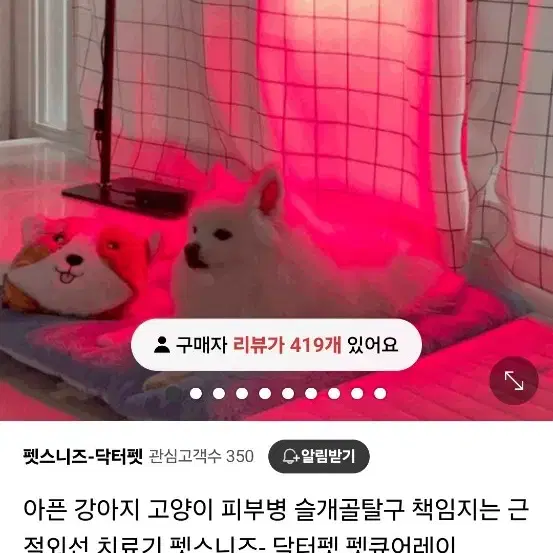 펫큐어레이 강아지 슬개골 피부병 치료기