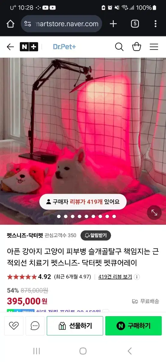 펫큐어레이 강아지 슬개골 피부병 치료기