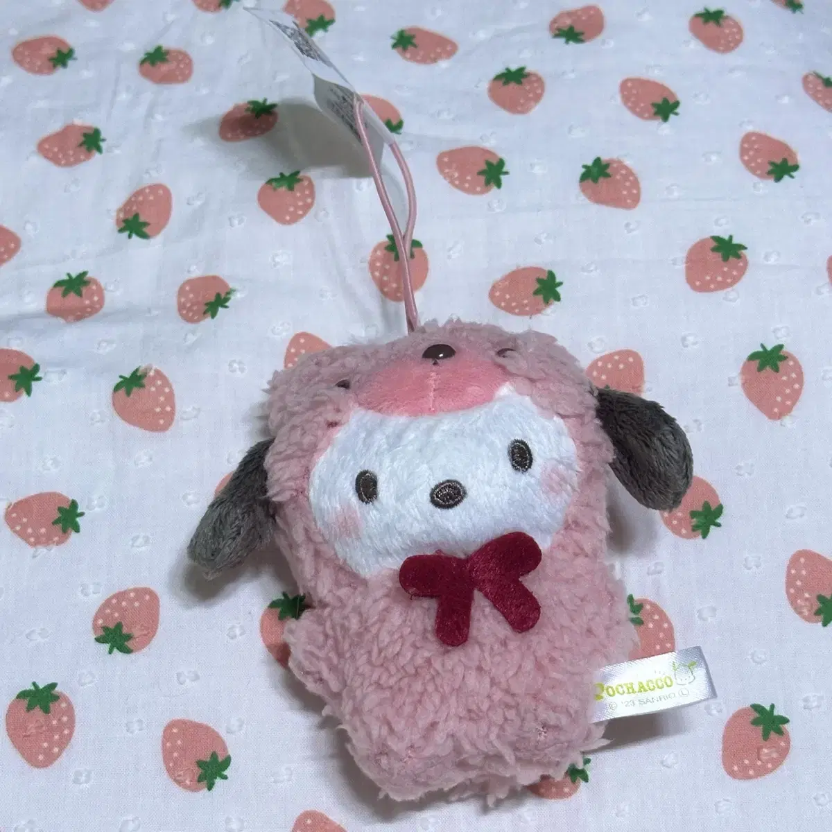 [Sanrio Genuine/Japan only] Pochaco Pochaco Latte Bear Mascot keyring Key Holder