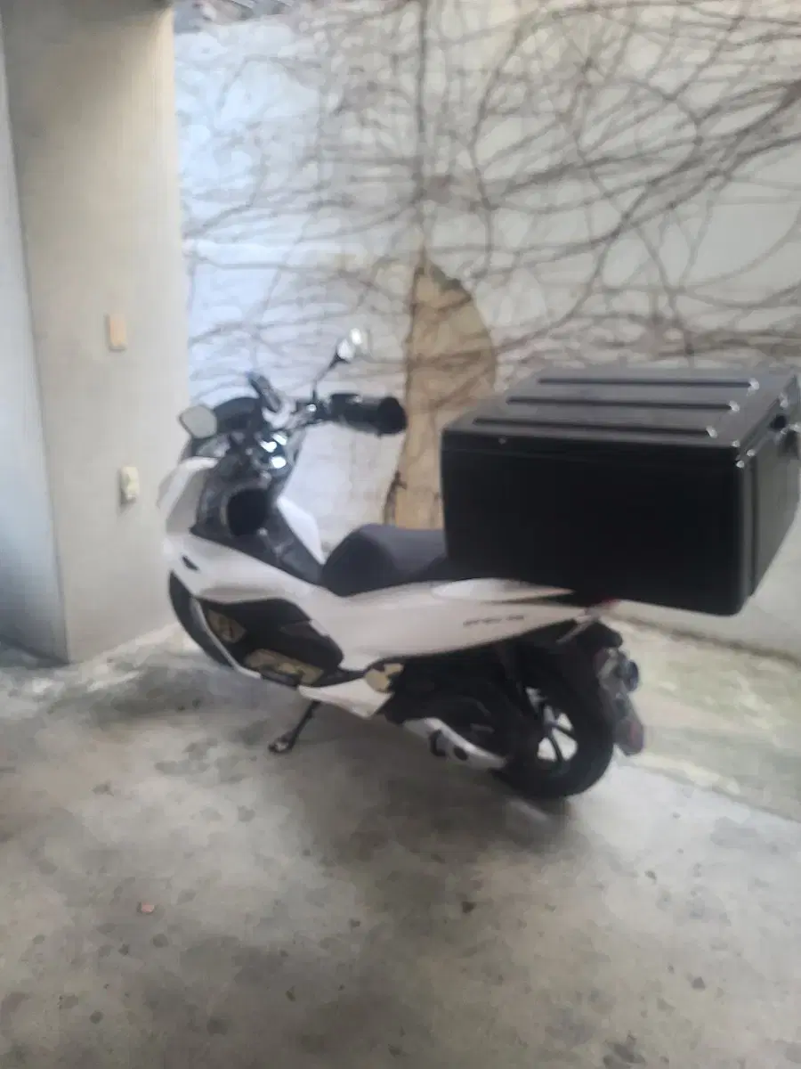 pcx125 20년식 직거래만 가능