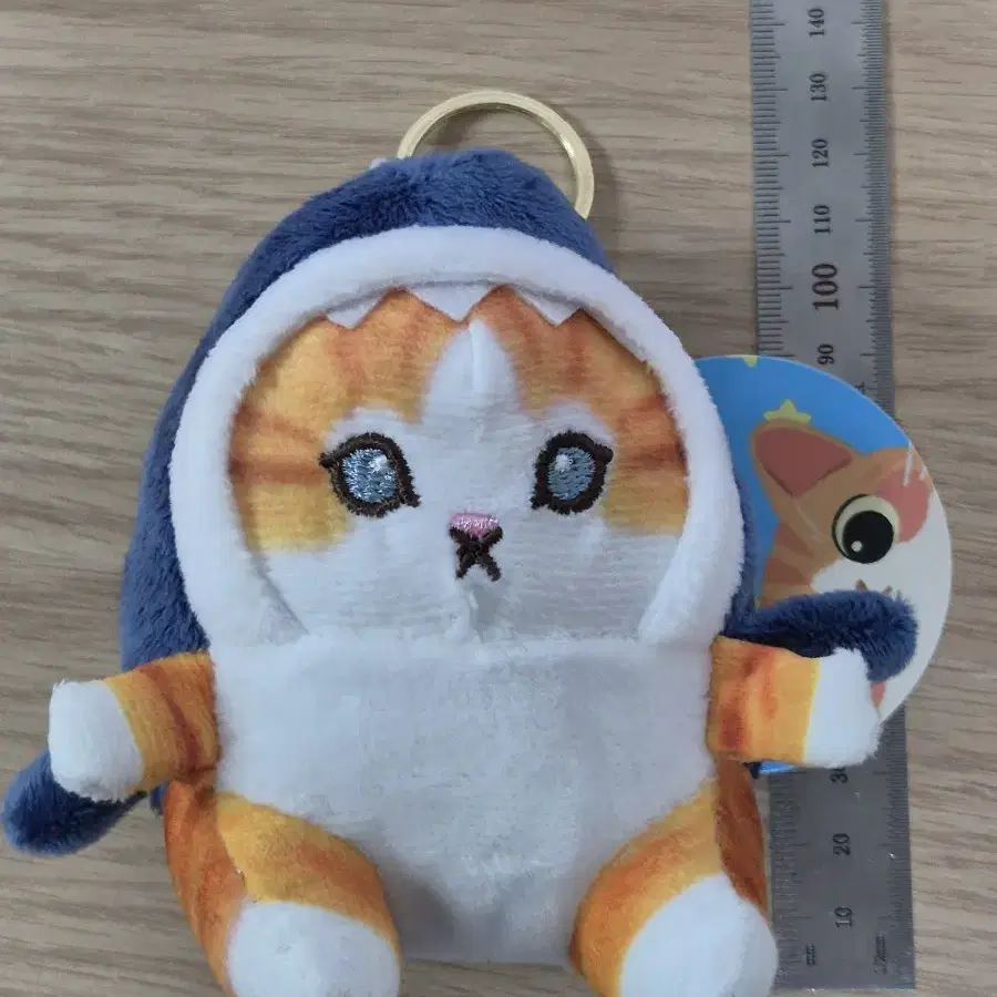 럭캣 상어 고양이 인형 키링 12cm