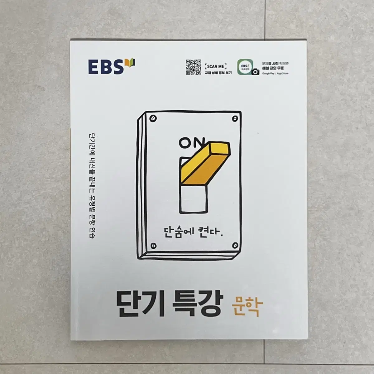 [새 책] EBS 단기특강 고등 문학 국어