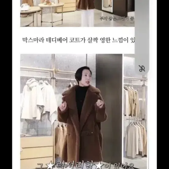 막스마라 테디베어 네불라