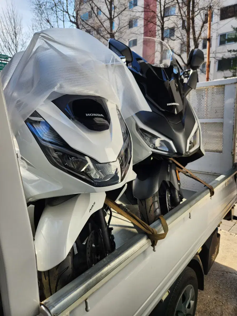 PCX125ABS 신차 즉시출고 가능합니다