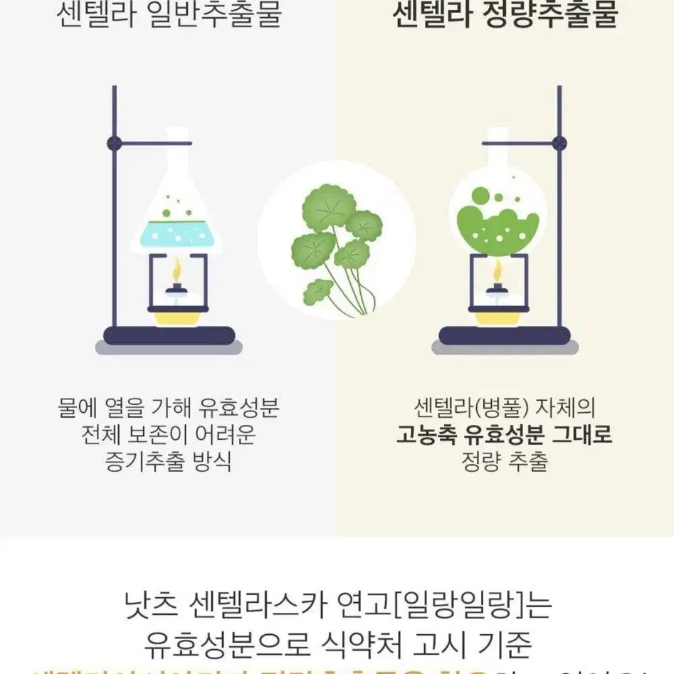 낫츠 센텔라스카 연고 15g