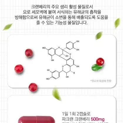 요로 크랜베리(여성건강)/5박스(5개월분)