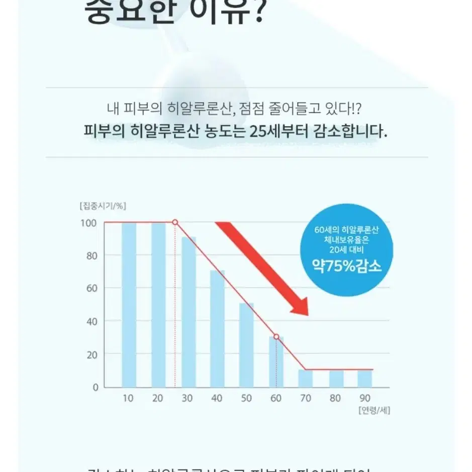 (무료배송) 히알루론산  초고농축 앰플