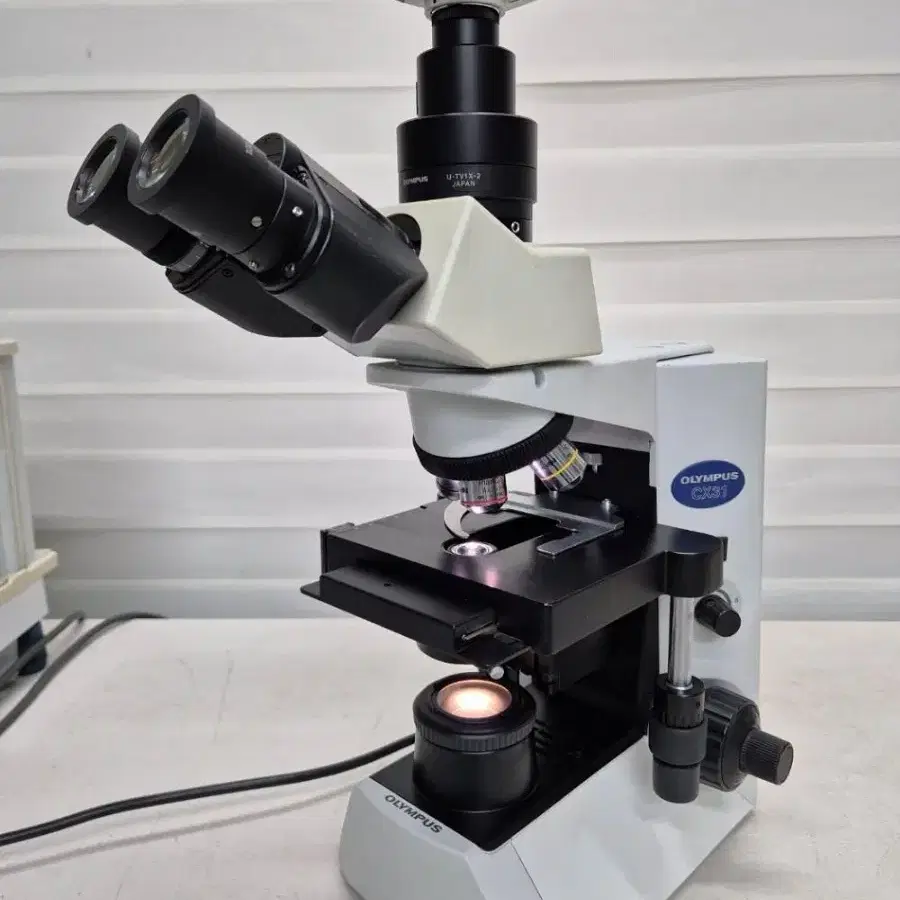 OLYMPUS CX31 RTSF Microscope 현미경