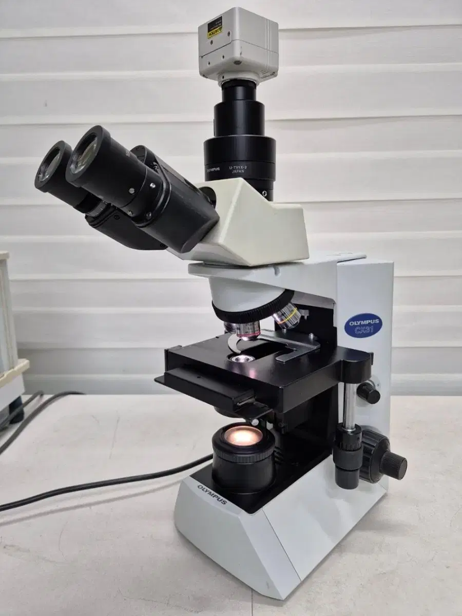 OLYMPUS CX31 RTSF Microscope 현미경