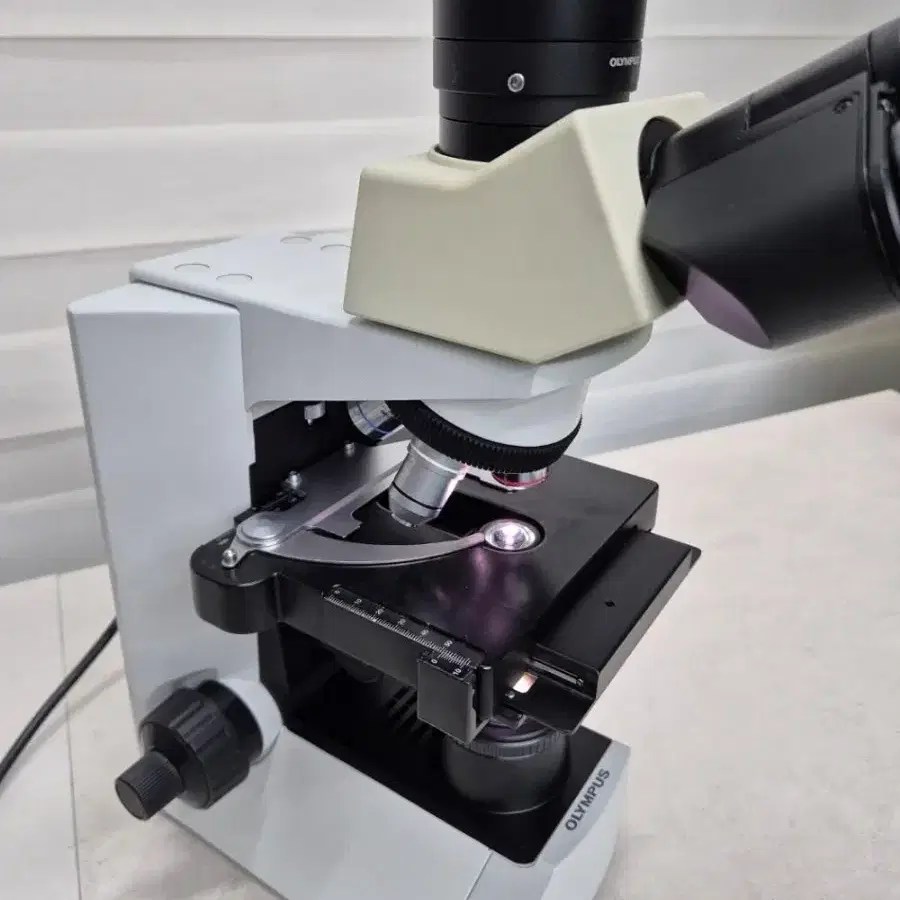 OLYMPUS CX31 RTSF Microscope 현미경