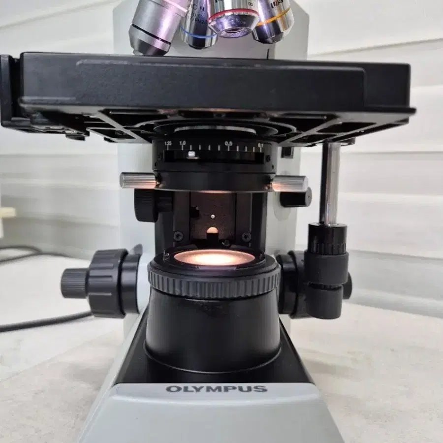 OLYMPUS CX31 RTSF Microscope 현미경