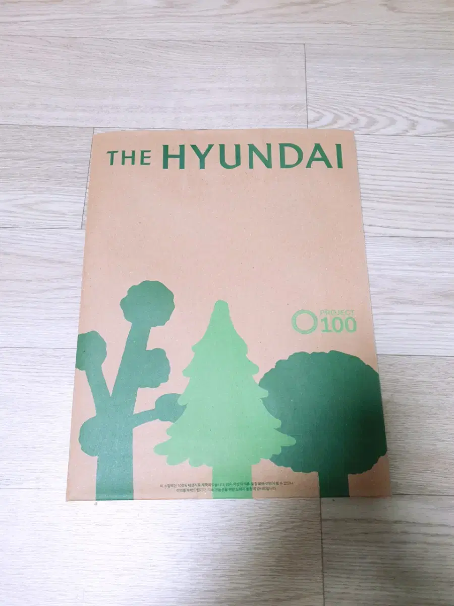 (New)Hyundai Department Store Shopping Bag(Shopping bag sold) Medium size,Other sizes are also available