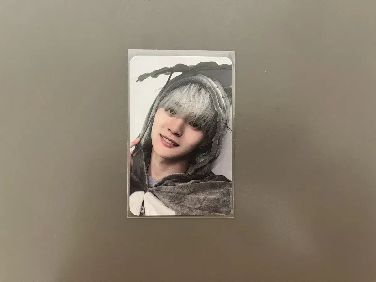 Fantasy Boys hong sungmin everline Photocard buncheol wts Totoro