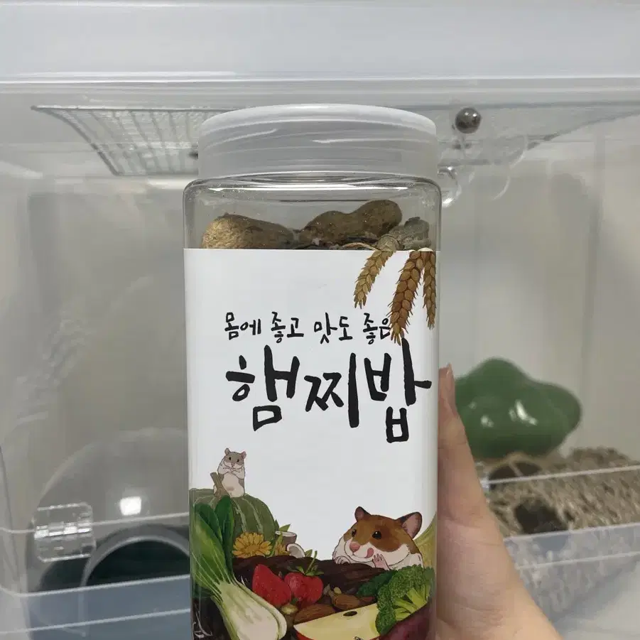 리빙박스 2월 전까지만 4만원 쳇바퀴 은신처 화장실 터널