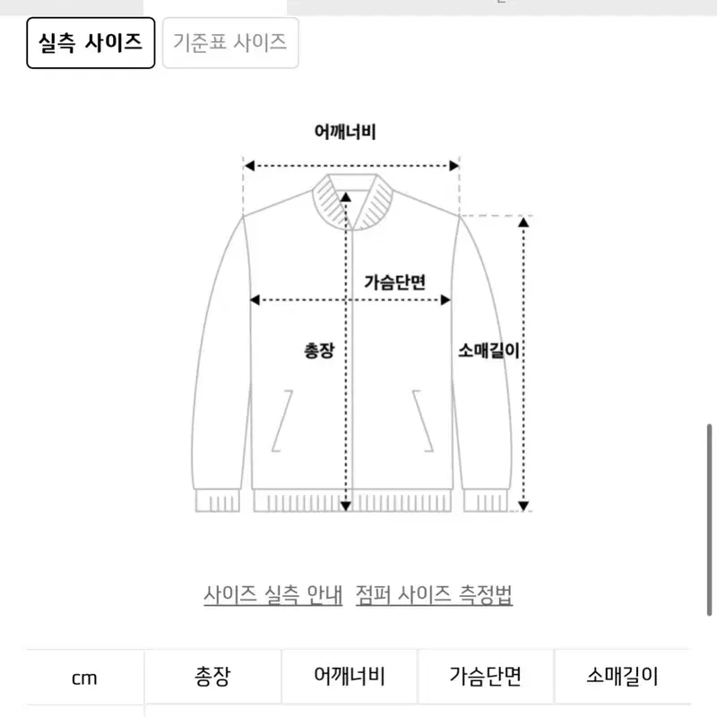 [로켓x펀치] 무신사 오간자 블루종(ma-1)