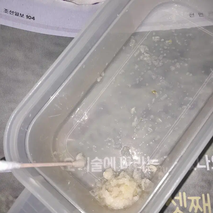 콧물 +치매+호흡기 질환 + 종기 에대한 ㅡ생마늘효능