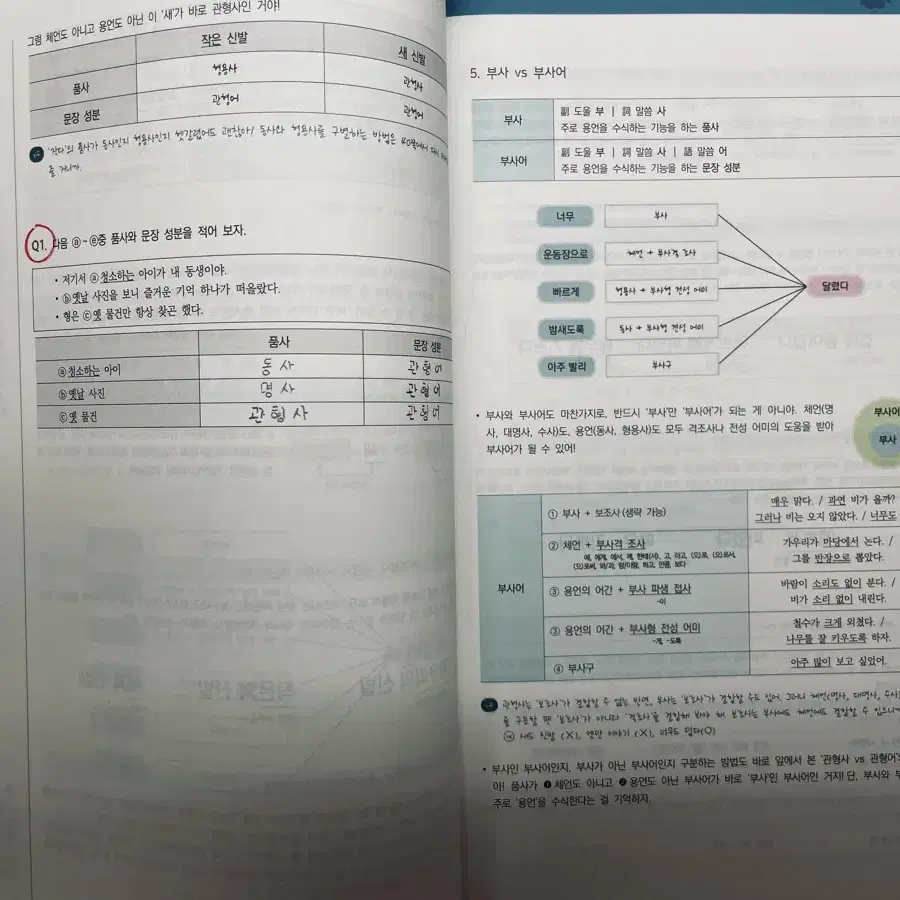 김은양 2025 단 하나의 언매