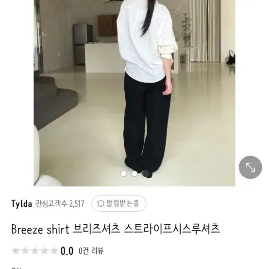 스트라이프 시스루 셔츠