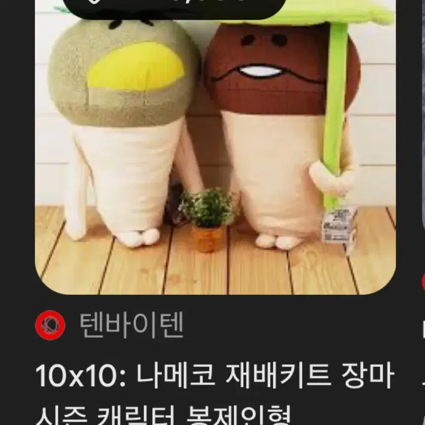 연꽃잎 나메코 장마시즌 대형 인형