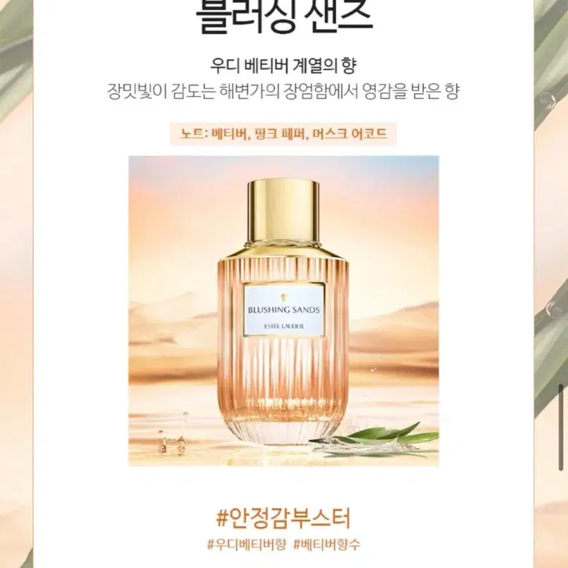 에스티로더 향수 블러싱 샌즈 40ml