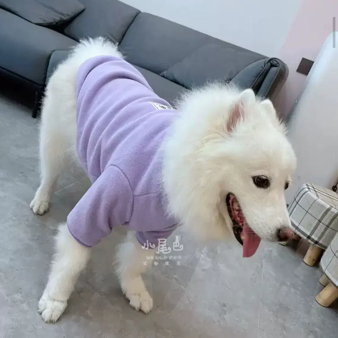 [새상품] 강아지 대형견 후리스 뽀글이 3XL 4XL 5XL