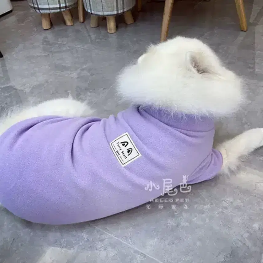 [새상품] 강아지 대형견 후리스 뽀글이 3XL 4XL 5XL